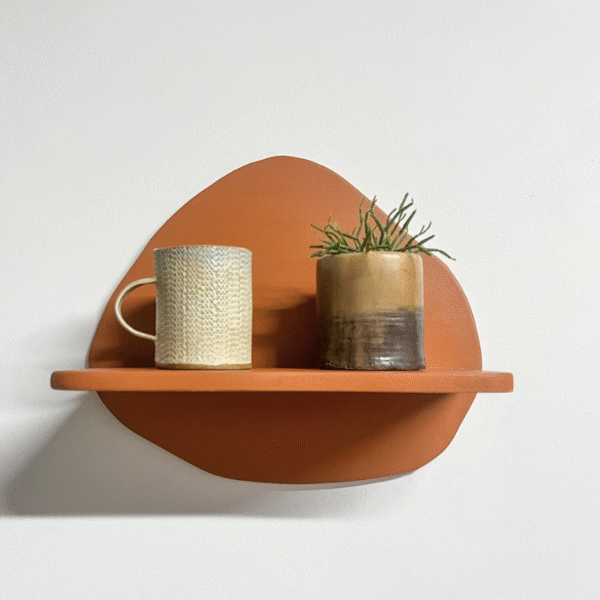 Decorative Shelf, Floating Shape, Colorful Wavy Shelves, Wall Storage