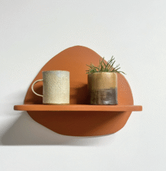 Decorative Shelf, Floating Shape, Colorful Wavy Shelves, Wall Storage